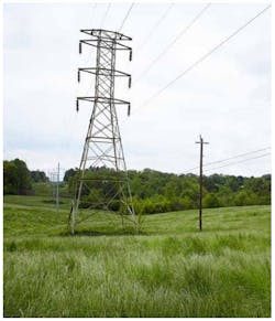 Selective herbicide applications can help re-establish native grasses and low-growing plant communities throughout utility right-of-way corridors. Selective herbicide applications can help re-establish native grasses and low-growing plant communities throughout utility right-of-way corridors.