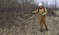 Lv Dormant Stem 6 1 602c64bd53ef9 Lv Dormant Stem 6 1 602c64bd53ef9