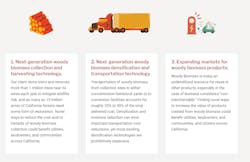 PG&E and ADL Ventures defined three problem statements for the Woody Biomass Challenge. The effort sought innovators that could reduce the cost of forest management and increase the value of small-diameter, non-merchantable wood that, if left unmanaged, increases the severity of wildfires. PG&E and ADL Ventures defined three problem statements for the Woody Biomass Challenge. The effort sought innovators that could reduce the cost of forest management and increase the value of small-diameter, non-merchantable wood that, if left unmanaged, increases the severity of wildfires.