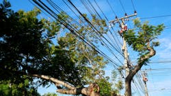 Tree Powerline Vegetation Management Lead 60330adca7f66 Tree Powerline Vegetation Management Lead 60330adca7f66