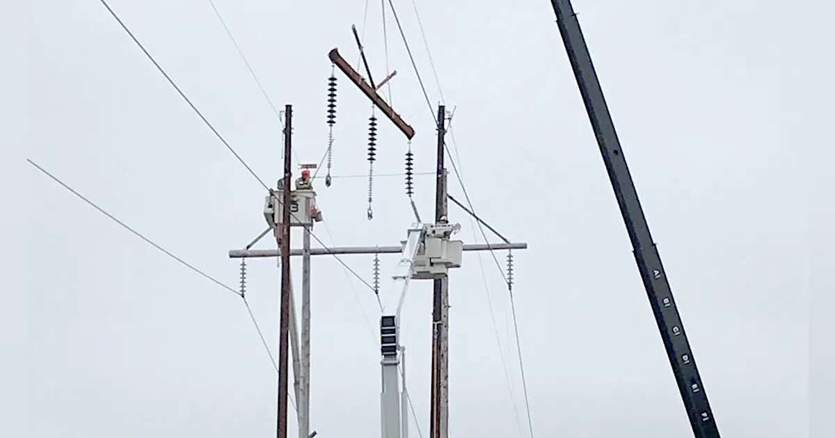 Contractor Trains Crews on Live-Line Work Methods | TD World