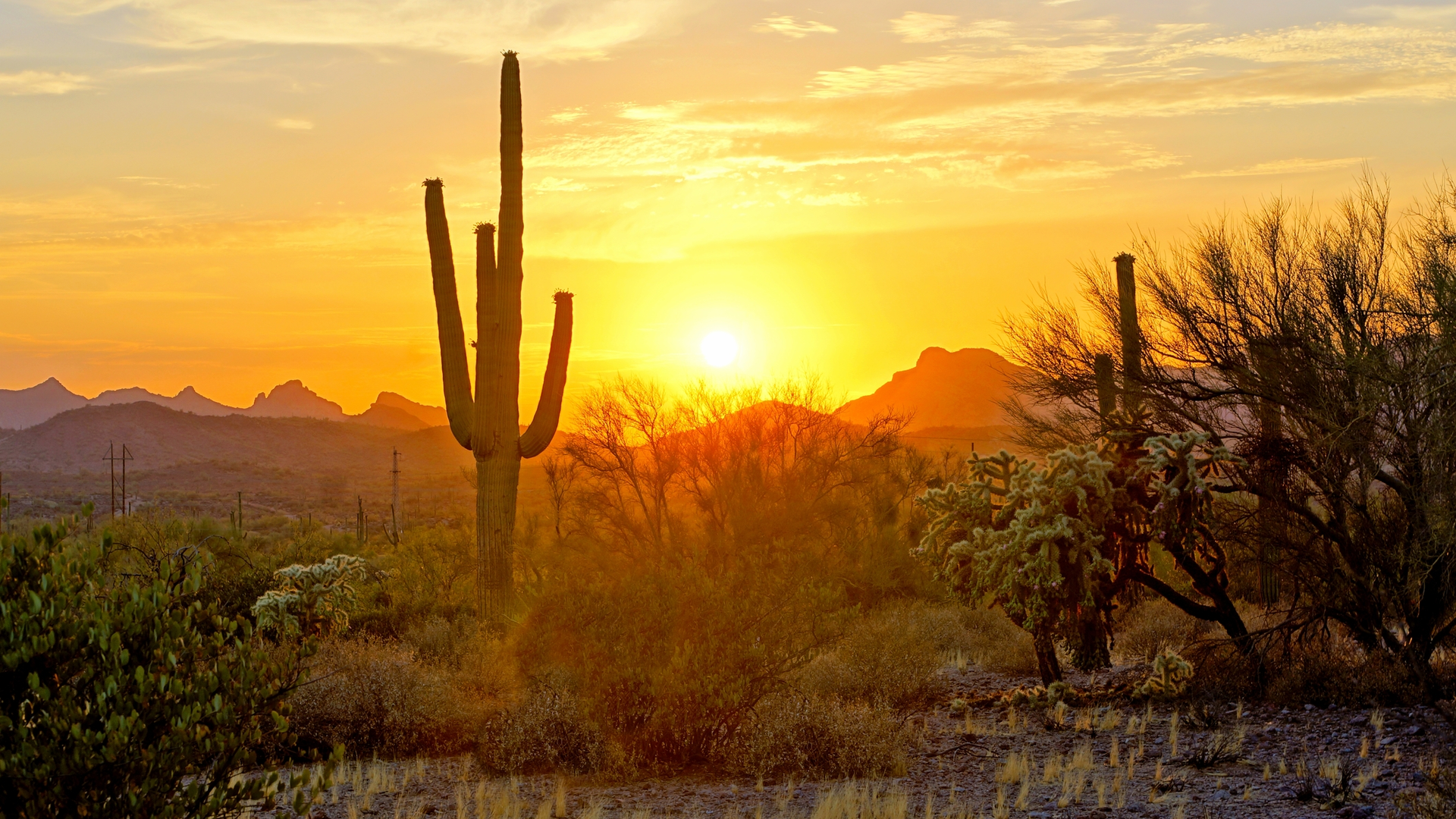 Id107847441 Jenifoto406 Dreamstime com dreamstime M 107847441 605d109e34c8c