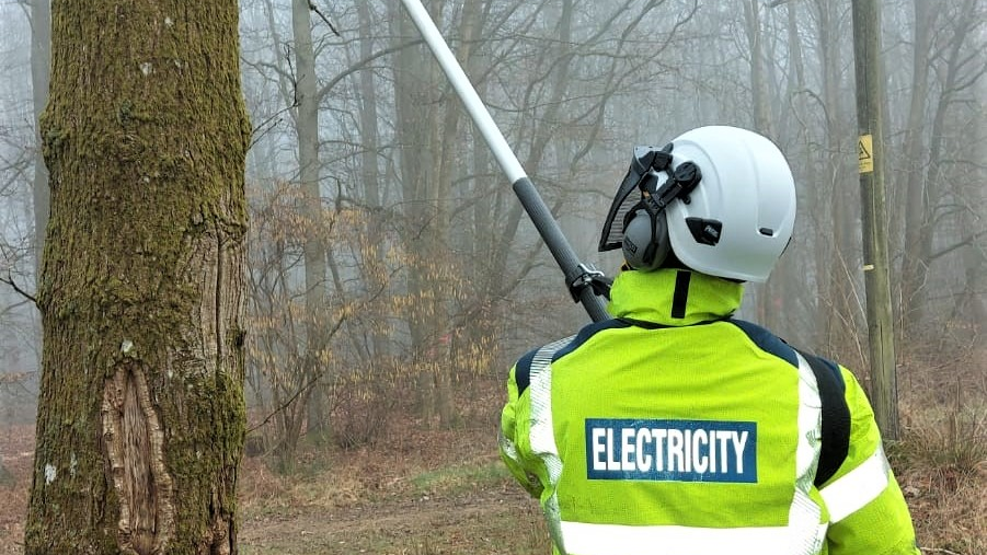 Ssen Adam Tollefsen Operating Electric Pole Saw 6046210a9b642