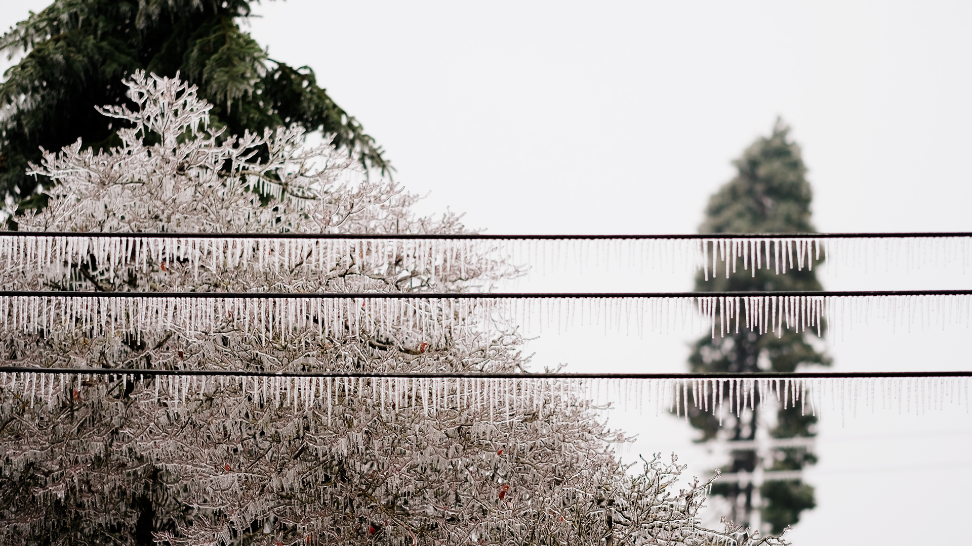 Featured Image 2 6050862a7d647