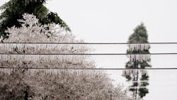 Featured Image 2 6050862a7d647 Featured Image 2 6050862a7d647