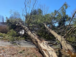 Evf B5i Rwqaeb Zzt Evf B5i Rwqaeb Zzt