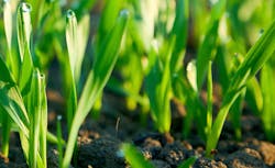 Screen Shot 2021 03 08 At 7 47 57 Am 60462b1b10855 Screen Shot 2021 03 08 At 7 47 57 Am 60462b1b10855