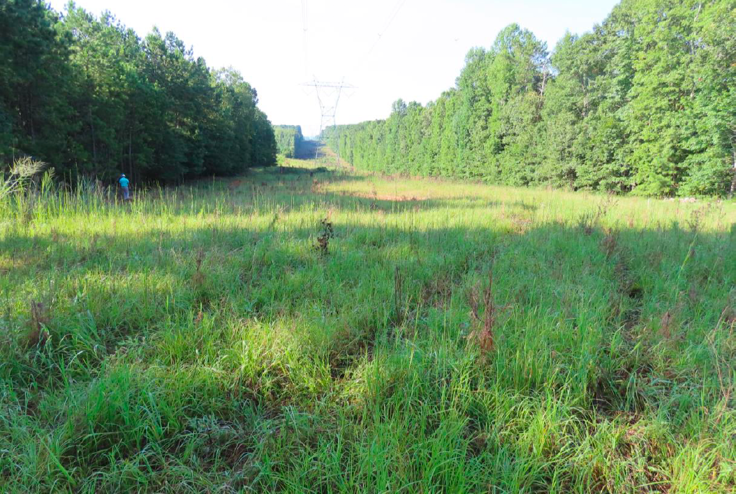 Tv 90 Dat 60567e2979895