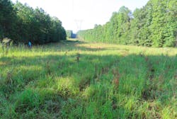 Tv 90 Dat 60567e2979895 Tv 90 Dat 60567e2979895