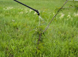 Herbicide 6056813f175ea Herbicide 6056813f175ea