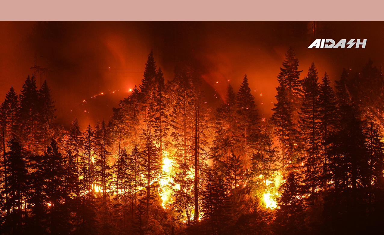 1280x720 606b70c5d6fe3