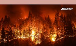 1280x720 606b70c5d6fe3 1280x720 606b70c5d6fe3