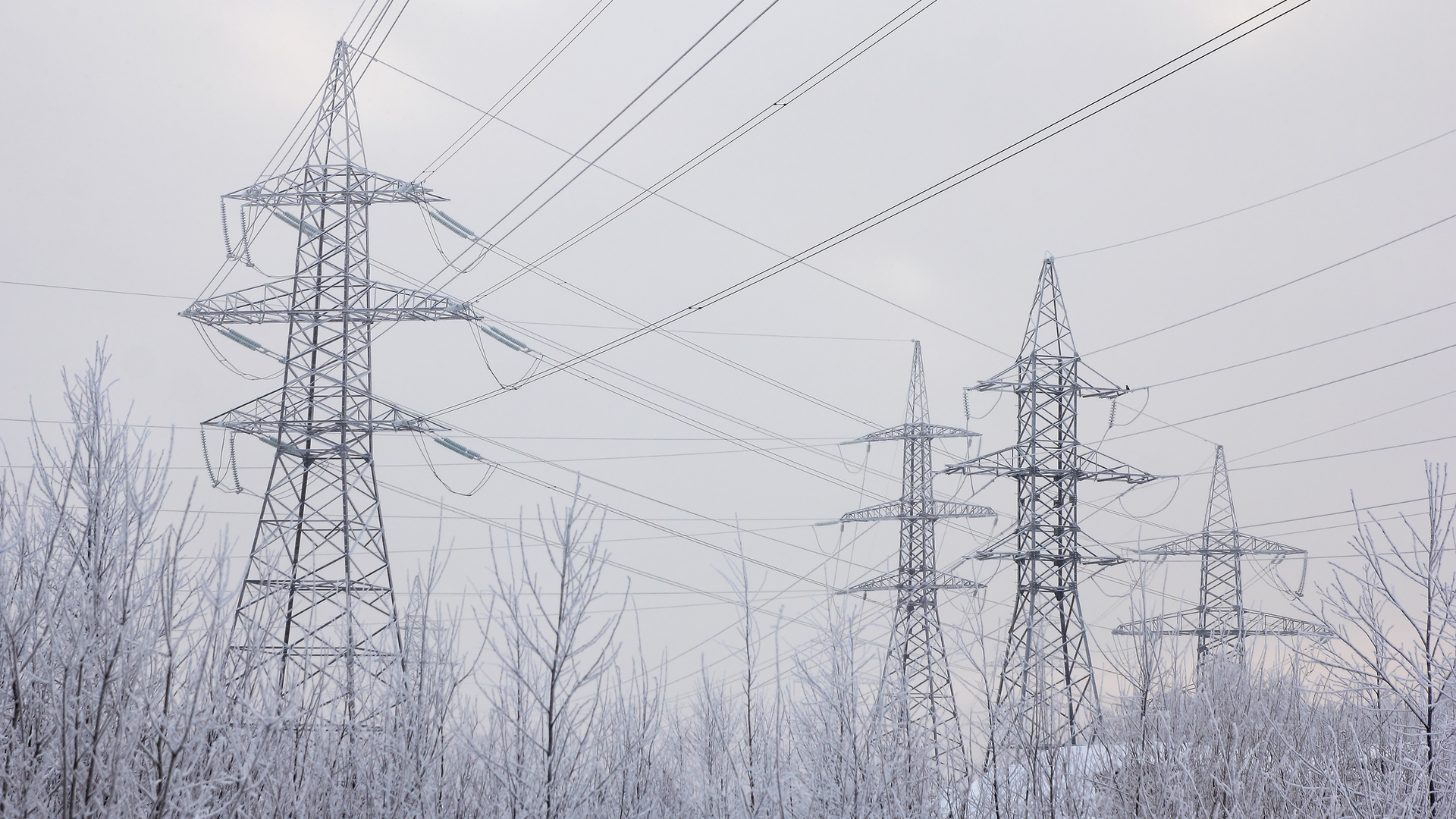 87008739 Roman Rozhkov Dreamstime com 606cdae3b707d