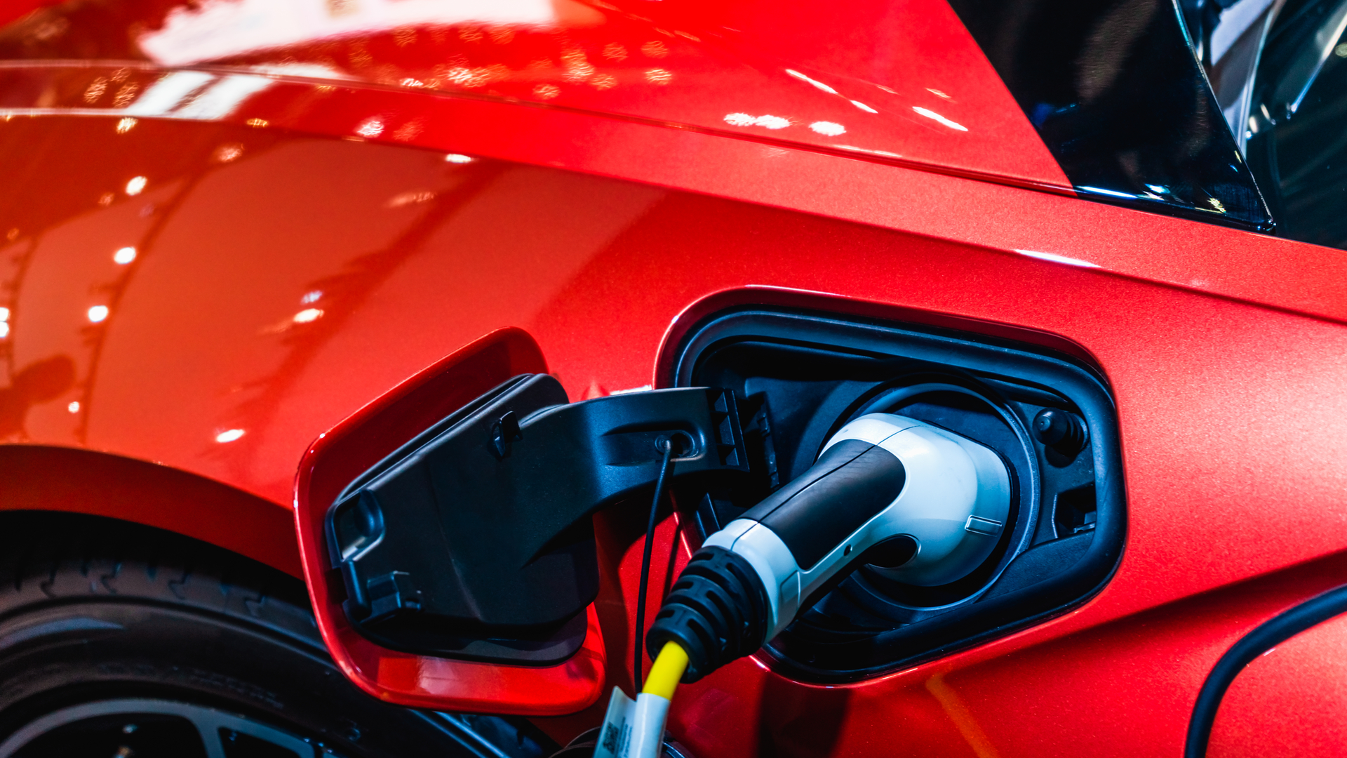 E Vs id 157283118 Ezthaiphoto Dreamstime comdreamstime M 157283118 60761a9106e21