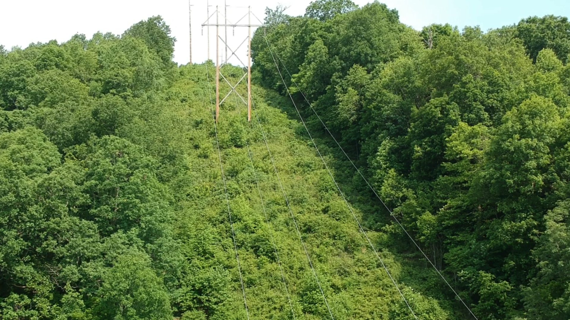 Many ROWs have heavy tree canopy in the edge zones including the border and off corridor area.