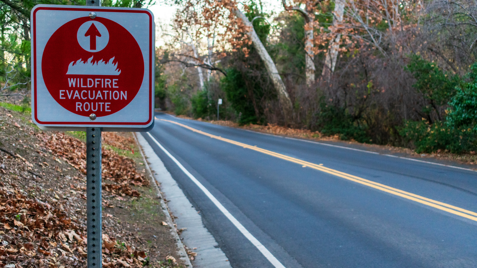 Id 164517120 Michael Vi Dreamstime com dreamstime M 164517120 606e2e2749989