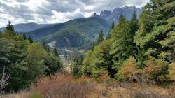 Diverse terrain and varying ecological conditions pose challenges for vegetation managers working to control incompatible plant species. Diverse terrain and varying ecological conditions pose challenges for vegetation managers working to control incompatible plant species.