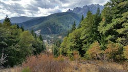 Diverse terrain and varying ecological conditions pose challenges for vegetation managers working to control incompatible plant species. Diverse terrain and varying ecological conditions pose challenges for vegetation managers working to control incompatible plant species.