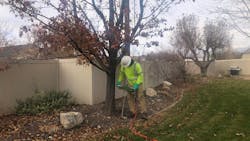 TGR is being applied in a residential backyard. TGR is being applied in a residential backyard.