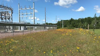 ECE&apos;s Denham, Minnesota, substation was in full bloom in August 2020, two years after native seeding as part of the substation&apos;s reconstruction.
