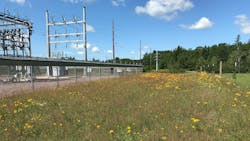 ECE's Denham, Minnesota, substation was in full bloom in August 2020, two years after native seeding as part of the substation's reconstruction. ECE's Denham, Minnesota, substation was in full bloom in August 2020, two years after native seeding as part of the substation's reconstruction.