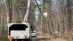 Brad Gibbs, journeyperson utility arborist, clears lower limbs that are within proximity to the line. He is using rubber gloves and dielectric hydraulic pruners to get a safe clearance to best perform the rest of the trim. Brad Gibbs, journeyperson utility arborist, clears lower limbs that are within proximity to the line. He is using rubber gloves and dielectric hydraulic pruners to get a safe clearance to best perform the rest of the trim.