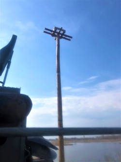 The nesting platform. The nesting platform.