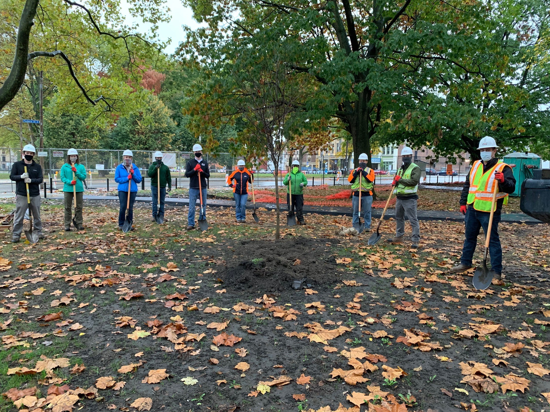 Dlc Tree Planting 6075106513ea2