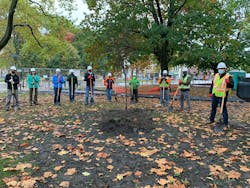 Dlc Tree Planting 6075106513ea2 Dlc Tree Planting 6075106513ea2