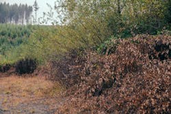 Dsc04630 6075af134b48b Dsc04630 6075af134b48b