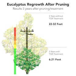 TGRs reduced the growth of rapidly growing species like eucalyptus. Results from actual field data 2017-2020.