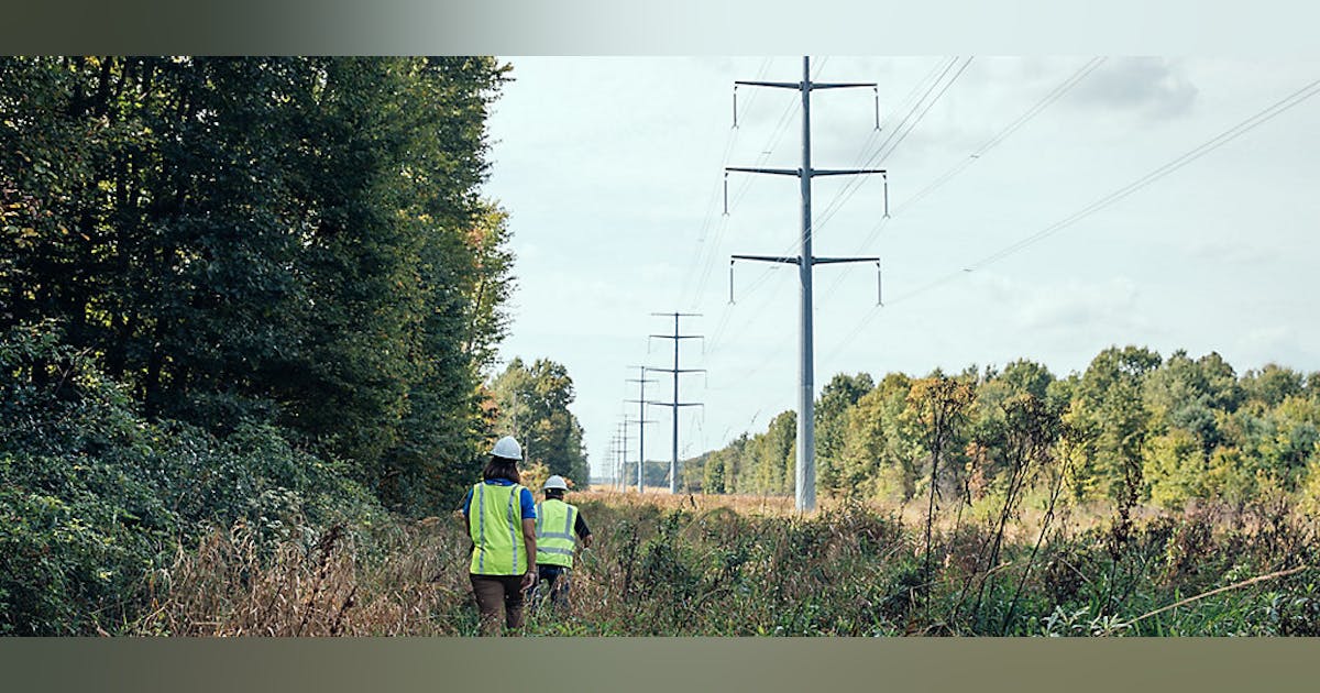 Ask the Expert: The Thick and Thin of Stem Density Management ...