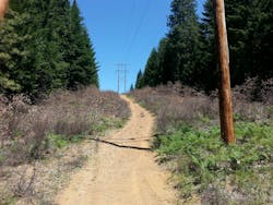 Using IVM strategies allows Pacific Power to keep rights-of-way clear of potential hazards that threaten electrical transmission service and site accessibility.
