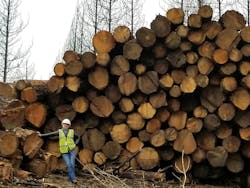 Utility Forester Lorelei Phillips stands next to a log deck consisting of trees removed after California's Delta Fire in 2018. Utility Forester Lorelei Phillips stands next to a log deck consisting of trees removed after California's Delta Fire in 2018.