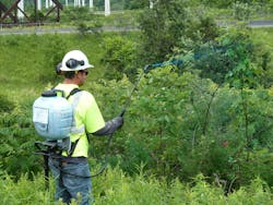 Chemical control methods include selective low volume foliar application to incompatible vegetation. Chemical control methods include selective low volume foliar application to incompatible vegetation.