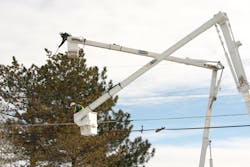 Tree pruning and removal programs, along with IVM strategies, help utility companies enhance electrical transmission safety throughout right-of-way corridors.