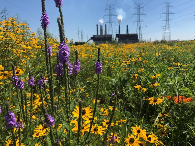 Pollinator habitat is restored at NiSource&apos;s R.M. Shahfer Generating Station.