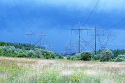 Compatible vegetation promotes rich biodiversity and pollinator habitat across the right-of-way landscape. Compatible vegetation promotes rich biodiversity and pollinator habitat across the right-of-way landscape.