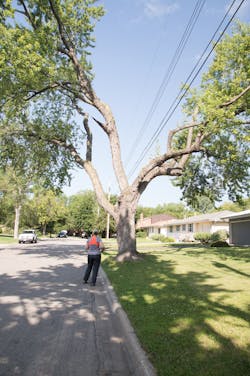 Auditing is key for showing the success and value of the program. Auditing is key for showing the success and value of the program.