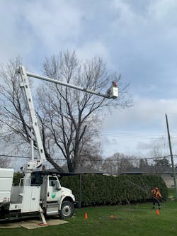 Mark Hupfl, journeyperson utility arborist, clears the overhang and limbs in close proximity to make this tree safe for a local contractor to perform his work. Track mats were used in order to gain access to the backyard with the bucket truck and avoid the need for an outage and having to climb the tree. Mark Hupfl, journeyperson utility arborist, clears the overhang and limbs in close proximity to make this tree safe for a local contractor to perform his work. Track mats were used in order to gain access to the backyard with the bucket truck and avoid the need for an outage and having to climb the tree.