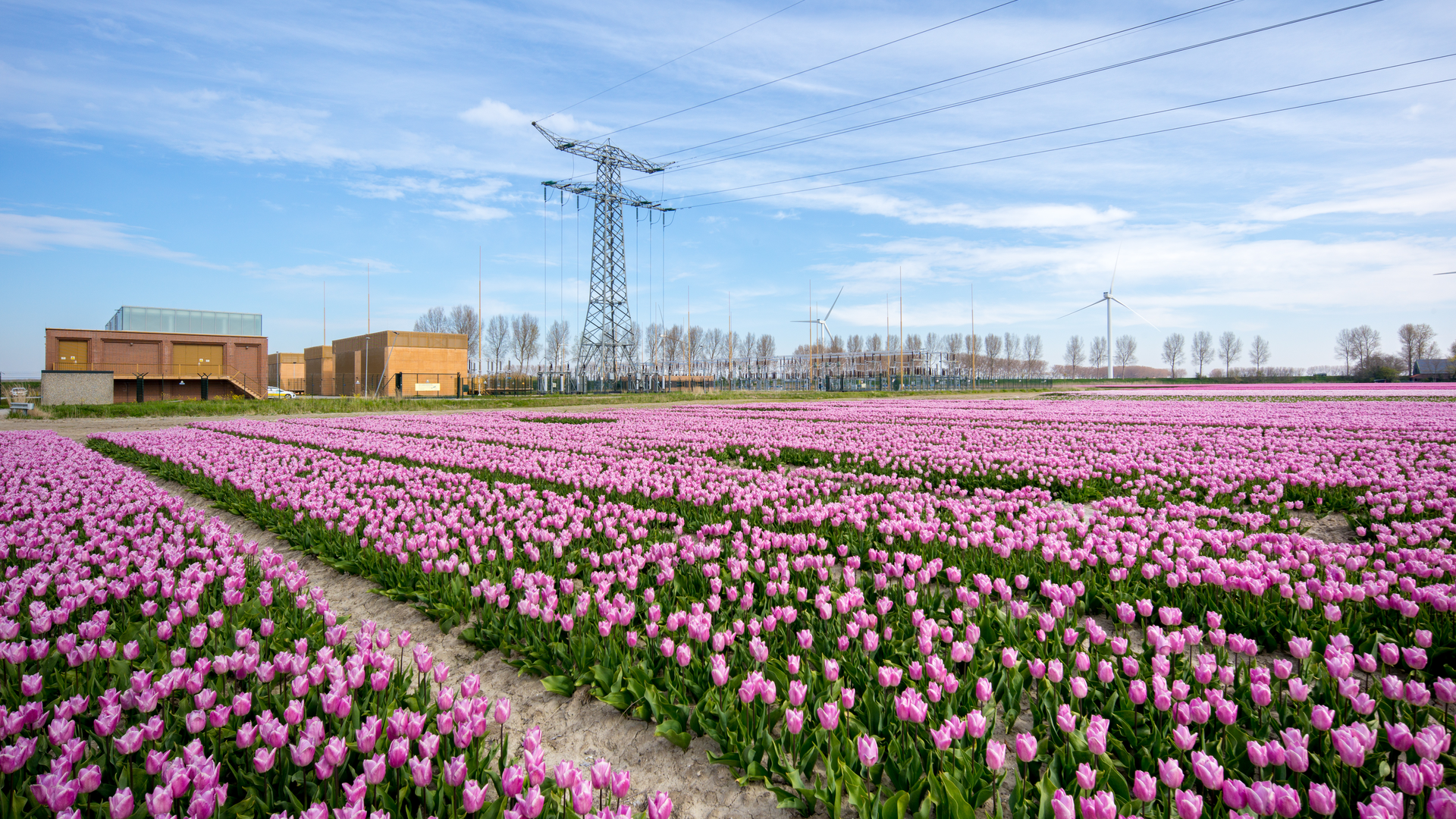 Cover Photo 150 50 13k V Middelharnis Substation 60aeb0acc4080