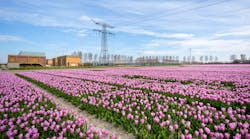 Cover Photo 150 50 13k V Middelharnis Substation 60aeb0acc4080 Cover Photo 150 50 13k V Middelharnis Substation 60aeb0acc4080