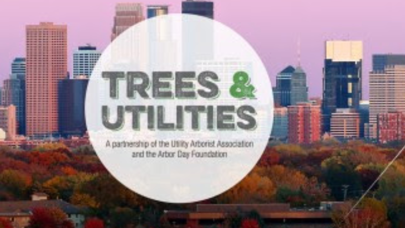 Screen Shot 2021 05 04 At 3 07 43 Pm 6091a99ba71ab