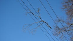 Featured Image 2 60acc6d781b32 Featured Image 2 60acc6d781b32