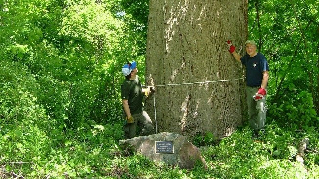 Unnamed 6 609968c6ee8d9