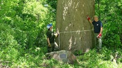 Unnamed 6 609968c6ee8d9 Unnamed 6 609968c6ee8d9