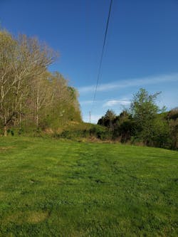 These images represent how MTE intentionally let an unmaintained portion of its ROW grow up into grasses and forbs, not mowing down close to the ground. The mowed sections are on homeowner property. The tall grass depicts a clean ROW floor that keeps undesired saplings suppressed. These images represent how MTE intentionally let an unmaintained portion of its ROW grow up into grasses and forbs, not mowing down close to the ground. The mowed sections are on homeowner property. The tall grass depicts a clean ROW floor that keeps undesired saplings suppressed.
