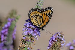 Corteva Br Aug2020 42 60956982557e8 Corteva Br Aug2020 42 60956982557e8