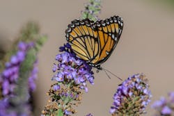 Corteva Br Aug2020 42 60956982557e8 Corteva Br Aug2020 42 60956982557e8