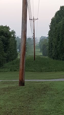 These images represent how MTE intentionally let an unmaintained portion of its ROW grow up into grasses and forbs, not mowing down close to the ground. The mowed sections are on homeowner property. The tall grass depicts a clean ROW floor that keeps undesired saplings suppressed. These images represent how MTE intentionally let an unmaintained portion of its ROW grow up into grasses and forbs, not mowing down close to the ground. The mowed sections are on homeowner property. The tall grass depicts a clean ROW floor that keeps undesired saplings suppressed.